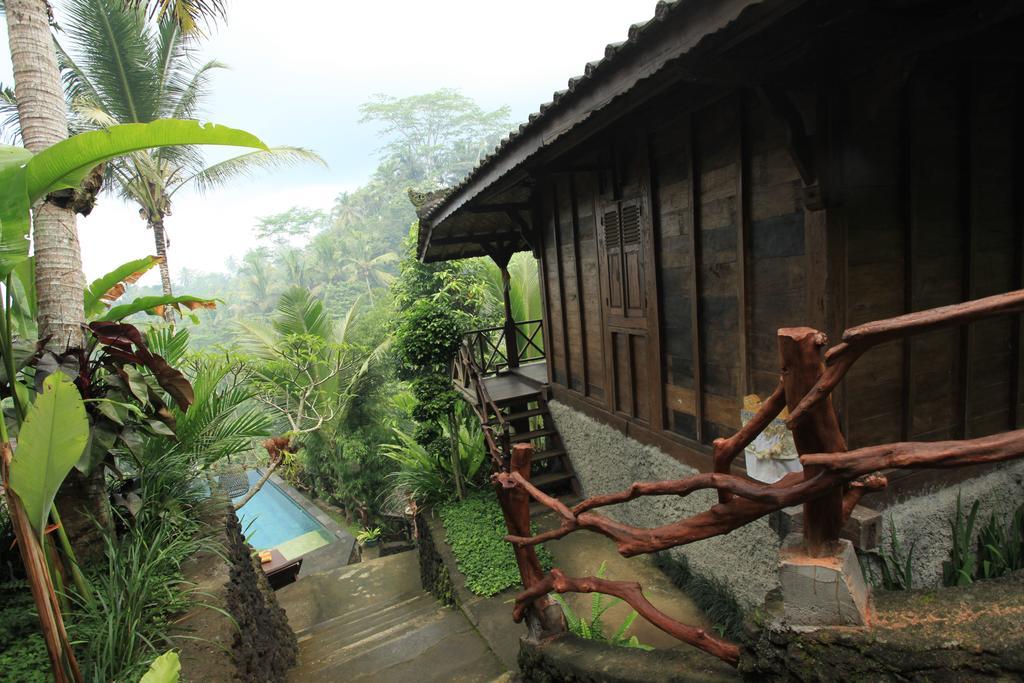 Ubud Jungle Holy Water Екстер'єр фото
