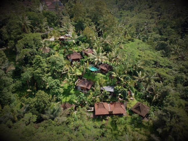 Ubud Jungle Holy Water Екстер'єр фото
